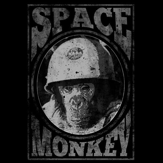 Project Mayhem and Space Monkey